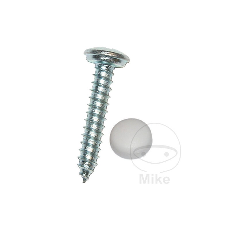 DRESSELHAUS Pack 100 screws for license plate 4.8 484.20.19VAR