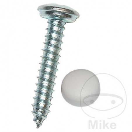 DRESSELHAUS Pack of 100 sheet metal screws with plastic stop 4.8 NR- SCHILD BEF 484.20.01VAR