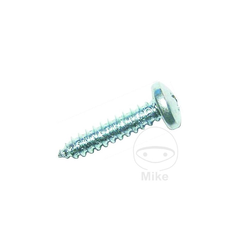 DRESSELHAUS Pack of 100 sheet metal screws DIN PHILLIPS 7981 4.2 486.01.10VAR