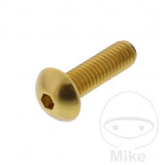JMP Pan head aluminum screw without retainer Ø12 MM M6X1.00 775.03.56VAR