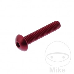 JMP Pan head aluminum screw without retainer Ø12 MM M6X1.00 775.03.56VAR