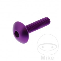 JMP Pan head aluminum screw with retainer Ø16 MM M6X1.00 775.03.75VAR