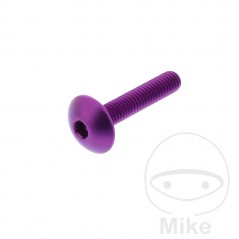 JMP Pan head aluminum screw with retainer Ø16 MM M6X1.00 775.03.75VAR
