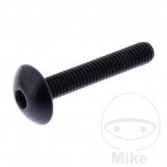 JMP Pan head aluminum screw with retainer Ø16 MM M6X1.00 775.03.75VAR