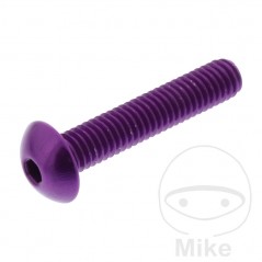 JMP Pan head aluminum screw with retainer Ø12 MM M6X1.00 775.03.85VAR