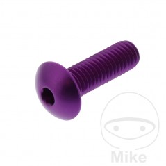 JMP Pan head aluminum screw with retainer Ø16 MM M8X1.25 775.04.05VAR