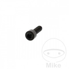 JMP Steel flat head cylindrical screw M6X1.00 MM V4A 775.32.36VAR