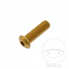 JMP Head aluminum screw M5X0.8 MM 775.35.36VAR