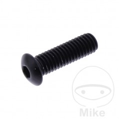 JMP Head aluminum screw M5X0.8 MM 775.35.36VAR