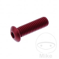 JMP Head aluminum screw M5X0.8 MM 775.35.36VAR