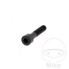 JMP Steel flat head cylindrical screw M8X1.25 MM V4A 775.41.59VAR