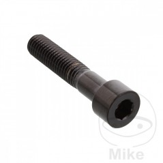 JMP Steel flat head cylindrical screw M8X1.25 MM V4A 775.41.59VAR