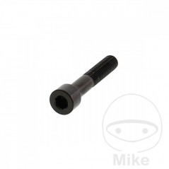 JMP Steel flat head cylindrical screw M8X1.25 MM V4A 775.41.59VAR