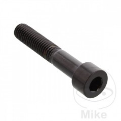 JMP Steel flat head cylindrical screw M8X1.25 MM V4A 775.41.59VAR