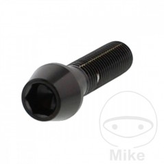 JMP Steel conical screw M10X1.25 MM V4A 775.41.69VAR