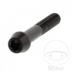 JMP Steel conical screw M8X1.25 MM V4A 775.42.11VAR