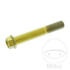 JMP Tornillo hexagonal titanio M10X1.25 MM 775.64.69VAR