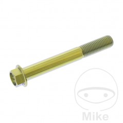 JMP Tornillo hexagonal titanio M10X1.25 MM 775.64.69VAR