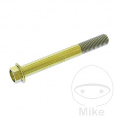 JMP Tornillo hexagonal titanio M10X1.25 MM 775.64.69VAR