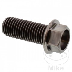 JMP Tornillo hexagonal titanio M10X1.25 MM 775.64.98VAR