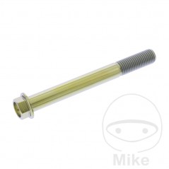 JMP Tornillo hexagonal titanio M10X1.25 MM 775.64.98VAR