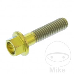 JMP Tornillo hexagonal titanio M6X1.00 MM 775.70.62VAR