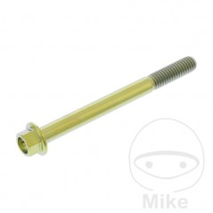 JMP Tornillo hexagonal titanio M6X1.00 MM 775.70.62VAR