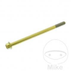 JMP Tornillo hexagonal titanio M6X1.00 MM 775.70.62VAR