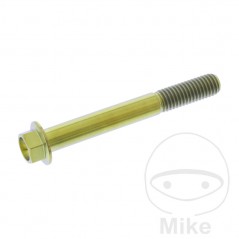 JMP Tornillo hexagonal titanio M8X1.25 MM 775.70.72VAR