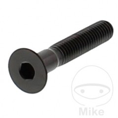 JMP Tornillo acero cabeza avellanada M6X1.00 MM V4A 775.84.67VAR