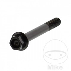 JMP Tornillo hexagonal acero M6X1.00 MM V4A 775.85.30VAR
