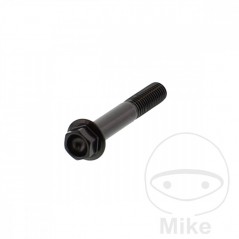 JMP Tornillo hexagonal acero M8X1.25 MM V4A 775.85.45VAR