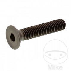 JMP Tornillo titanio cabeza avellanada M5X0.8 MM 775.86.16VAR