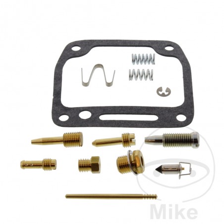 TOURMAX Complete carburettor repair kit ALTN: 7240360 724.19.29