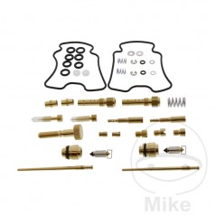 TOURMAX Kit completo reparación carburador ALTN: 7240838 724.19.34