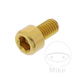 JMP Tornillo cilíndrico aluminio cabeza hexagonal M6X1.00 MM 775.06.79VAR