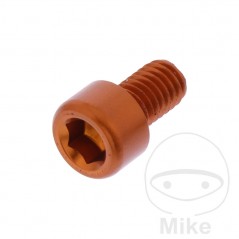 JMP Tornillo cilíndrico aluminio cabeza hexagonal M6X1.00 MM 775.06.79VAR