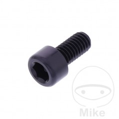 JMP Tornillo cilíndrico aluminio cabeza hexagonal M6X1.00 MM 775.06.79VAR