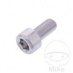 JMP Tornillo cilíndrico aluminio cabeza hexagonal M6X1.00 MM 775.06.79VAR