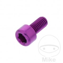 JMP Tornillo cilíndrico aluminio cabeza hexagonal M6X1.00 MM 775.06.79VAR