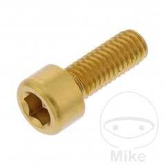 JMP Tornillo cilíndrico aluminio cabeza hexagonal M6X1.00 MM 775.06.79VAR