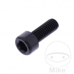 JMP Tornillo cilíndrico aluminio cabeza hexagonal M6X1.00 MM 775.06.79VAR