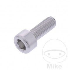 JMP Tornillo cilíndrico aluminio cabeza hexagonal M6X1.00 MM 775.06.79VAR