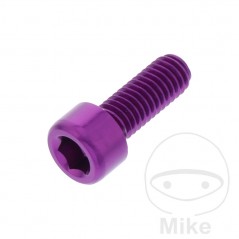 JMP Tornillo cilíndrico aluminio cabeza hexagonal M6X1.00 MM 775.06.79VAR