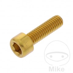 JMP Tornillo cilíndrico aluminio cabeza hexagonal M6X1.00 MM 775.06.79VAR