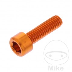 JMP Tornillo cilíndrico aluminio cabeza hexagonal M6X1.00 MM 775.06.79VAR