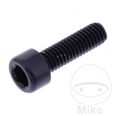 JMP Tornillo cilíndrico aluminio cabeza hexagonal M6X1.00 MM 775.06.79VAR