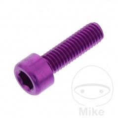 JMP Tornillo cilíndrico aluminio cabeza hexagonal M6X1.00 MM 775.06.79VAR