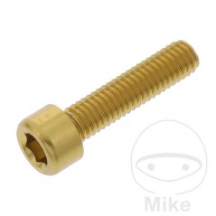 JMP Tornillo cilíndrico aluminio cabeza hexagonal M6X1.00 MM 775.06.79VAR
