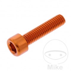 JMP Tornillo cilíndrico aluminio cabeza hexagonal M6X1.00 MM 775.06.79VAR